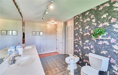 Tiny photo for 196 Absolut Lane, Troy, MO 63379 (MLS # 26024762)