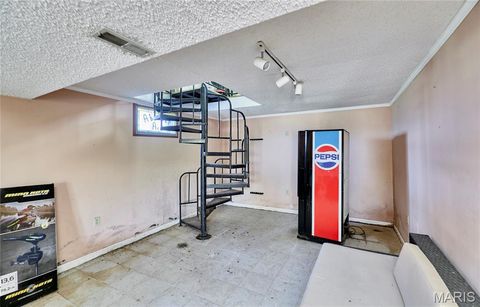 Tiny photo for 196 Absolut Lane, Troy, MO 63379 (MLS # 26024762)
