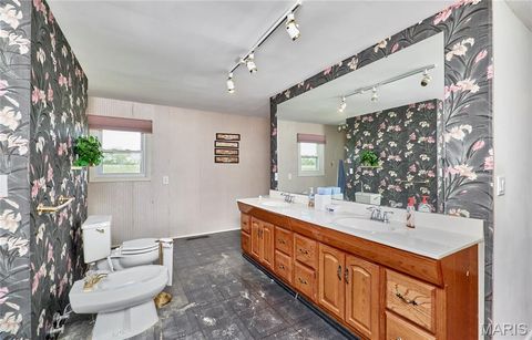 Tiny photo for 196 Absolut Lane, Troy, MO 63379 (MLS # 26024762)