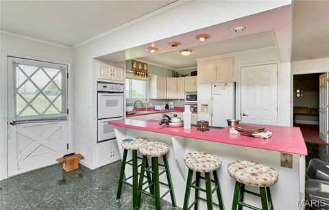 Tiny photo for 196 Absolut Lane, Troy, MO 63379 (MLS # 26024762)
