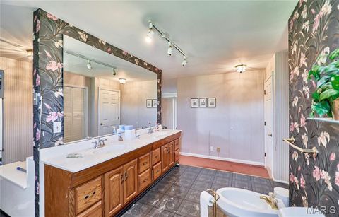 Tiny photo for 196 Absolut Lane, Troy, MO 63379 (MLS # 26024762)