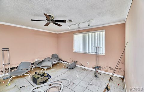 Tiny photo for 196 Absolut Lane, Troy, MO 63379 (MLS # 26024762)