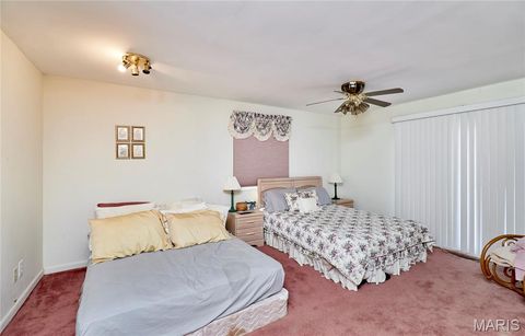Tiny photo for 196 Absolut Lane, Troy, MO 63379 (MLS # 26024762)