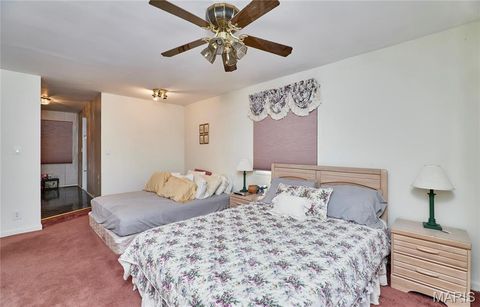 Tiny photo for 196 Absolut Lane, Troy, MO 63379 (MLS # 26024762)