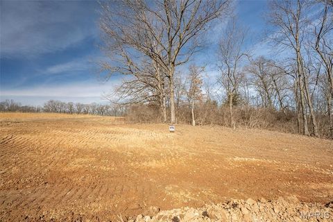 Tiny photo for 36 Oakview Ct. - Lot 11, Troy, MO 63379 (MLS # 26005058)