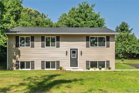 Photo of 3469 Apple Tree Lane, Bridgeton, MO 63044 (MLS # 26031995)