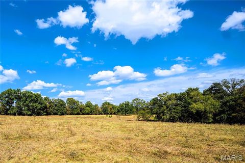 Tiny photo for 4367 Highway C, Moscow Mills, MO 63362 (MLS # 25065308)