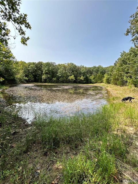 Tiny photo for 11916 Brainerd Ln, Crocker, MO 65452 (MLS # 26017222)