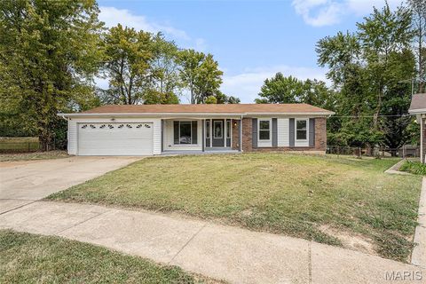 Photo of 11774 El Somo Court, Florissant, MO 63033 (MLS # 25069730)