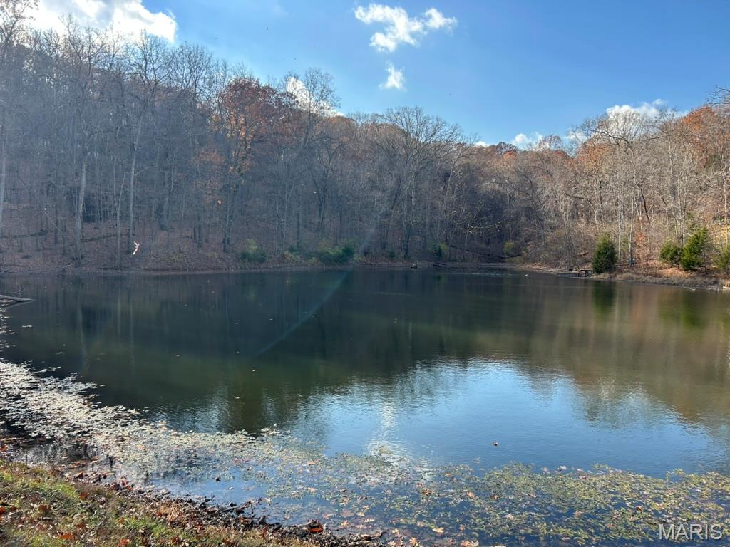 60 The Bluffs Drive 60