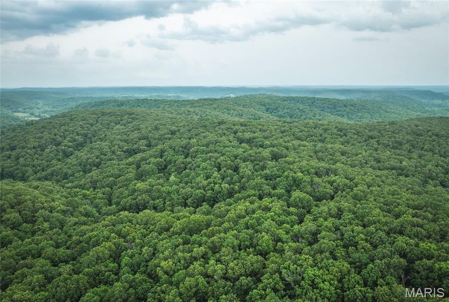 200 acres of stunning Missouri mountain beauty, perfectly suited for the outdoor enthusiast. Located just minutes from Montauk State Park and some of the best trout fishing in the state, and only two hours from St. Louis, this incredible piece of land offers a rare combination of seclusion and access. The property is a true deer and turkey sanctuary, with mature timber covering the landscape, including white oak, black oak, red oak, and cedar. Its ridgelines and varied topography create excellent natural funnels and vantage points, ideal for hunting setups or future build sites. With no restrictions, the possibilities are endless. Whether you're envisioning a private hunting camp, a weekend escape, or simply a quiet place to invest and explore, this land offers the freedom to make it your own.