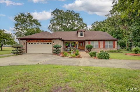 Photo of 300 N Poplar ST, Bertrand, MO 63823 (MLS # 26032305)