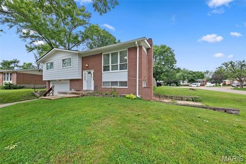 Tiny photo for 5263 Faro Drive, St Louis, MO 63128 (MLS # 25070587)