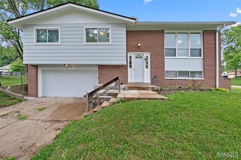 5263 Faro Drive St Louis MO 63128