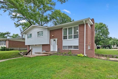 Tiny photo for 5263 Faro Drive, St Louis, MO 63128 (MLS # 25070587)