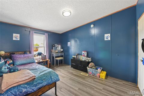 Tiny photo for 63 Pinnacle Lake Road, New Florence, MO 63363 (MLS # 26024501)