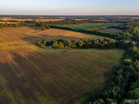 Tiny photo for 00 Highway V Highway, Vandalia, MO 63382 (MLS # 25067398)