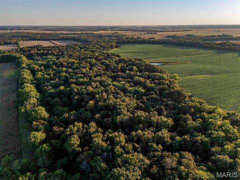 Tiny photo for 00 Highway V Highway, Vandalia, MO 63382 (MLS # 25067398)