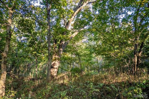 Tiny photo for 00 Highway V Highway, Vandalia, MO 63382 (MLS # 25067398)