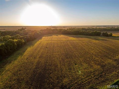 Tiny photo for 00 Highway V Highway, Vandalia, MO 63382 (MLS # 25067398)