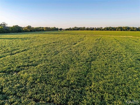 Tiny photo for 00 Highway V Highway, Vandalia, MO 63382 (MLS # 25067398)