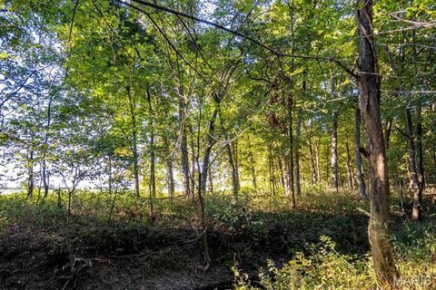Tiny photo for 00 Highway V Highway, Vandalia, MO 63382 (MLS # 25067398)