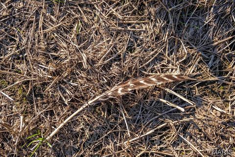 Tiny photo for 00 Highway V Highway, Vandalia, MO 63382 (MLS # 25067398)
