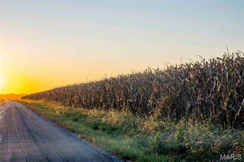 Tiny photo for 00 Highway V Highway, Vandalia, MO 63382 (MLS # 25067398)