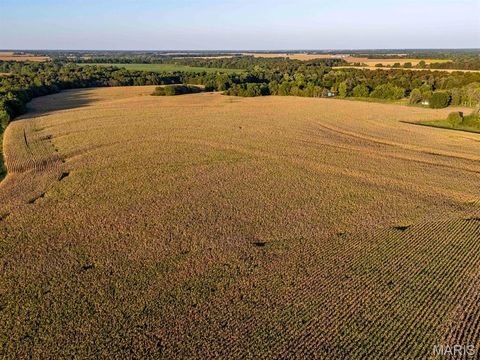 Tiny photo for 00 Highway V Highway, Vandalia, MO 63382 (MLS # 25067398)