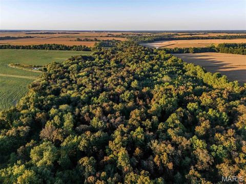 Tiny photo for 00 Highway V Highway, Vandalia, MO 63382 (MLS # 25067398)