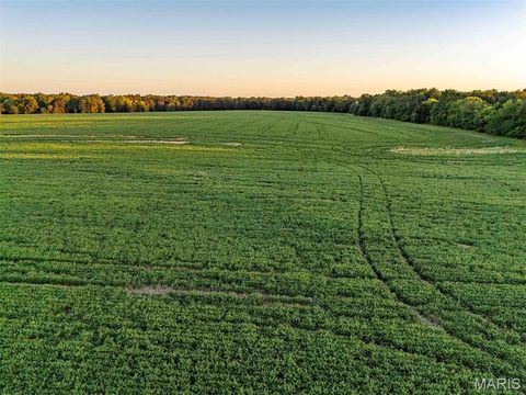 Tiny photo for 00 Highway V Highway, Vandalia, MO 63382 (MLS # 25067398)