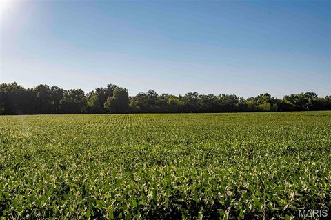 Tiny photo for 00 Highway V Highway, Vandalia, MO 63382 (MLS # 25067398)
