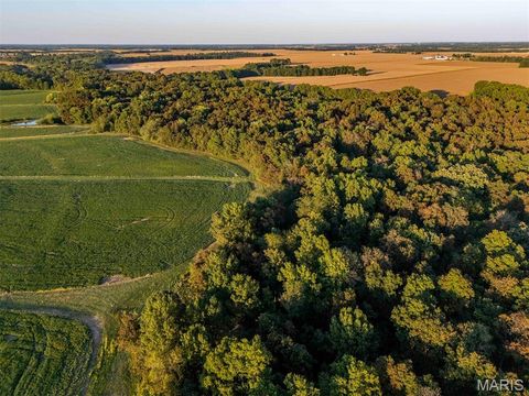 Tiny photo for 00 Highway V Highway, Vandalia, MO 63382 (MLS # 25067398)