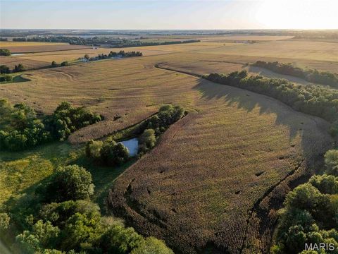 Tiny photo for 00 Highway V Highway, Vandalia, MO 63382 (MLS # 25067398)