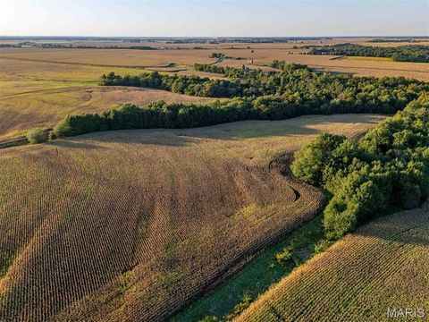 Tiny photo for 00 Highway V Highway, Vandalia, MO 63382 (MLS # 25067398)