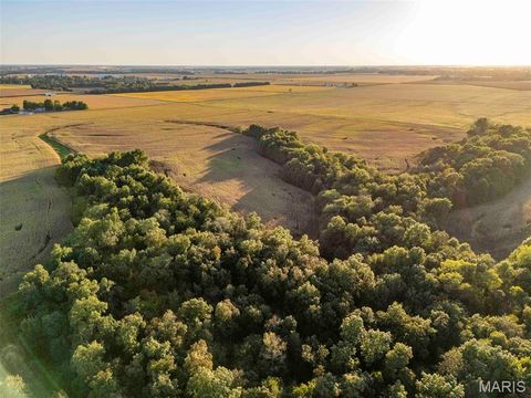 Tiny photo for 00 Highway V Highway, Vandalia, MO 63382 (MLS # 25067398)