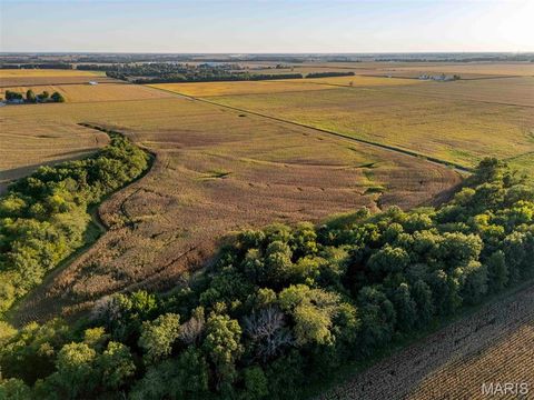 Tiny photo for 00 Highway V Highway, Vandalia, MO 63382 (MLS # 25067398)