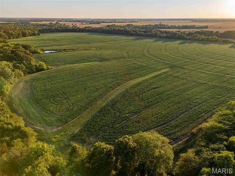 Tiny photo for 00 Highway V Highway, Vandalia, MO 63382 (MLS # 25067398)