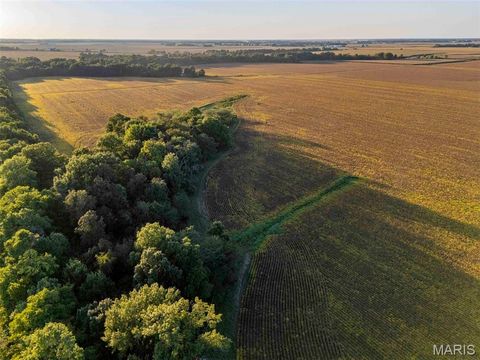 Tiny photo for 00 Highway V Highway, Vandalia, MO 63382 (MLS # 25067398)