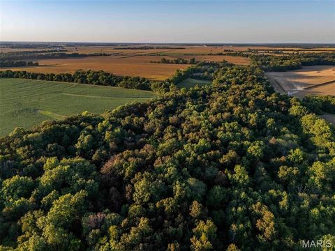 Tiny photo for 00 Highway V Highway, Vandalia, MO 63382 (MLS # 25067398)