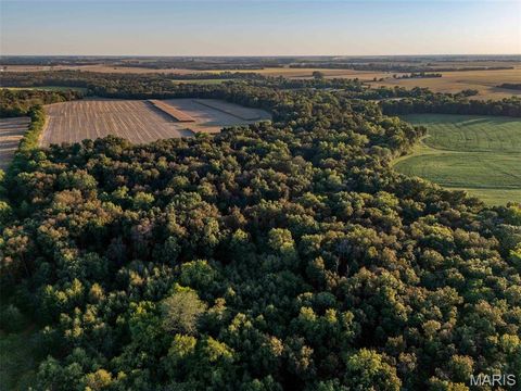 Tiny photo for 00 Highway V Highway, Vandalia, MO 63382 (MLS # 25067398)