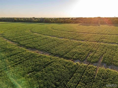 Tiny photo for 00 Highway V Highway, Vandalia, MO 63382 (MLS # 25067398)