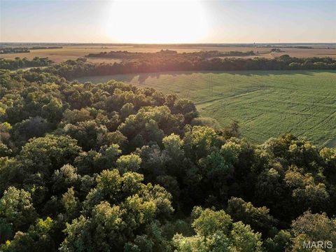 Tiny photo for 00 Highway V Highway, Vandalia, MO 63382 (MLS # 25067398)
