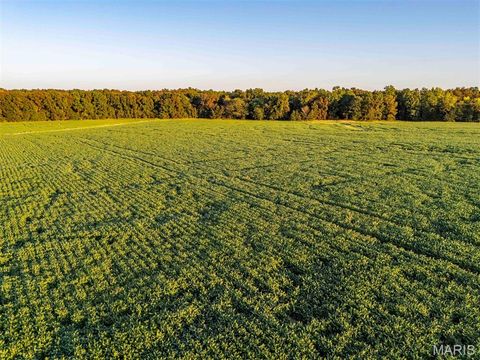 Tiny photo for 00 Highway V Highway, Vandalia, MO 63382 (MLS # 25067398)