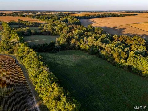 Tiny photo for 00 Highway V Highway, Vandalia, MO 63382 (MLS # 25067398)