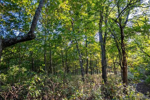 Tiny photo for 00 Highway V Highway, Vandalia, MO 63382 (MLS # 25067398)