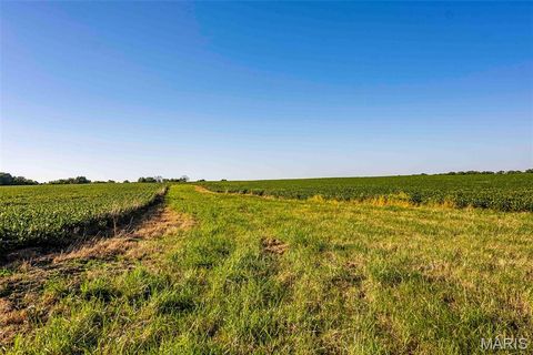 Tiny photo for 00 Highway V Highway, Vandalia, MO 63382 (MLS # 25067398)