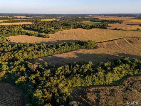 Tiny photo for 00 Highway V Highway, Vandalia, MO 63382 (MLS # 25067398)