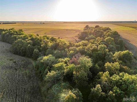 Tiny photo for 00 Highway V Highway, Vandalia, MO 63382 (MLS # 25067398)