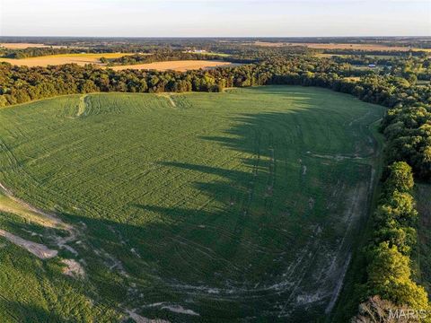 Tiny photo for 00 Highway V Highway, Vandalia, MO 63382 (MLS # 25067398)